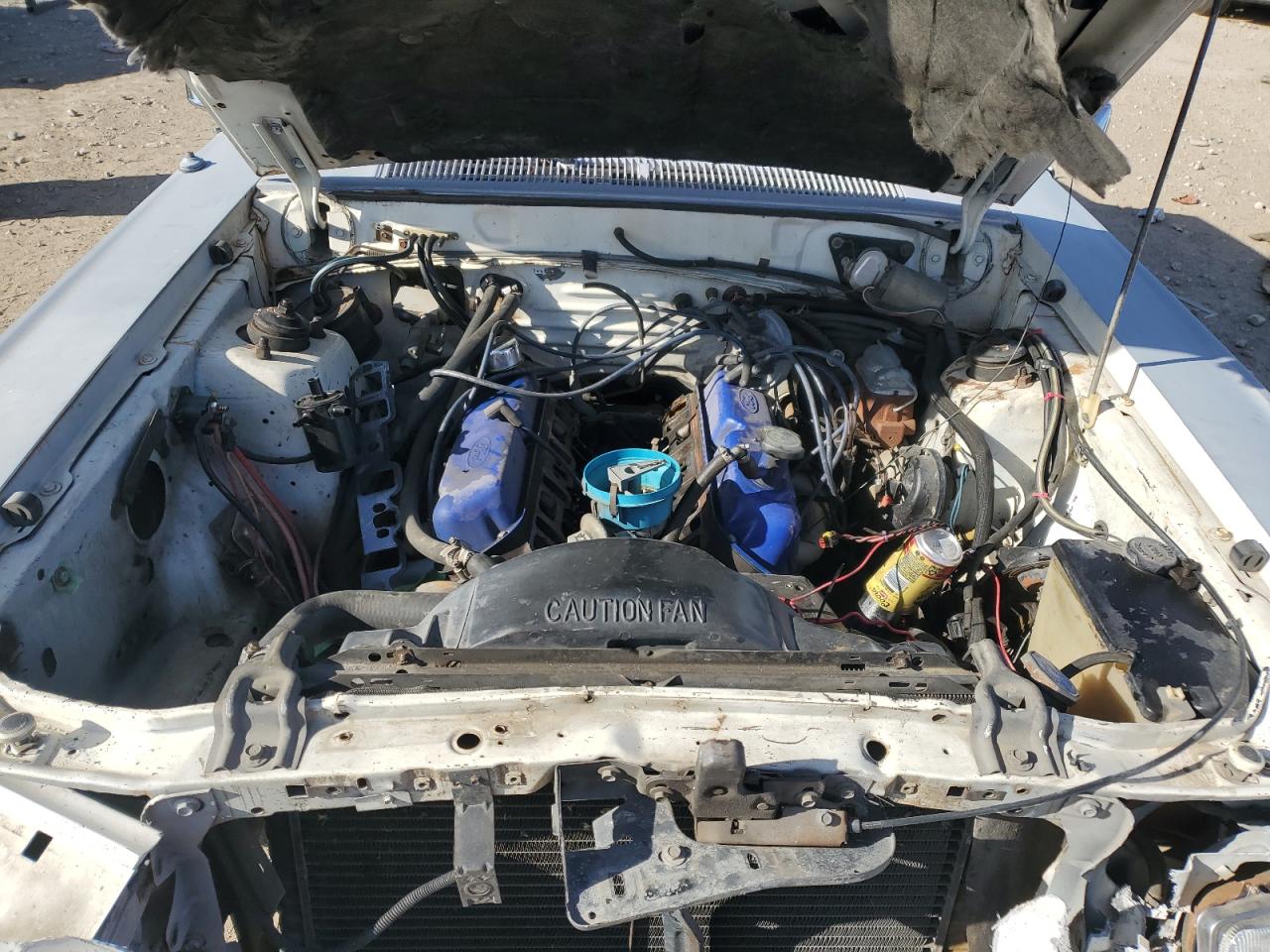 Lot #3285994824 1980 FORD THUNDERBIR