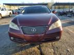 Lot #3298211040 2007 LEXUS ES 350