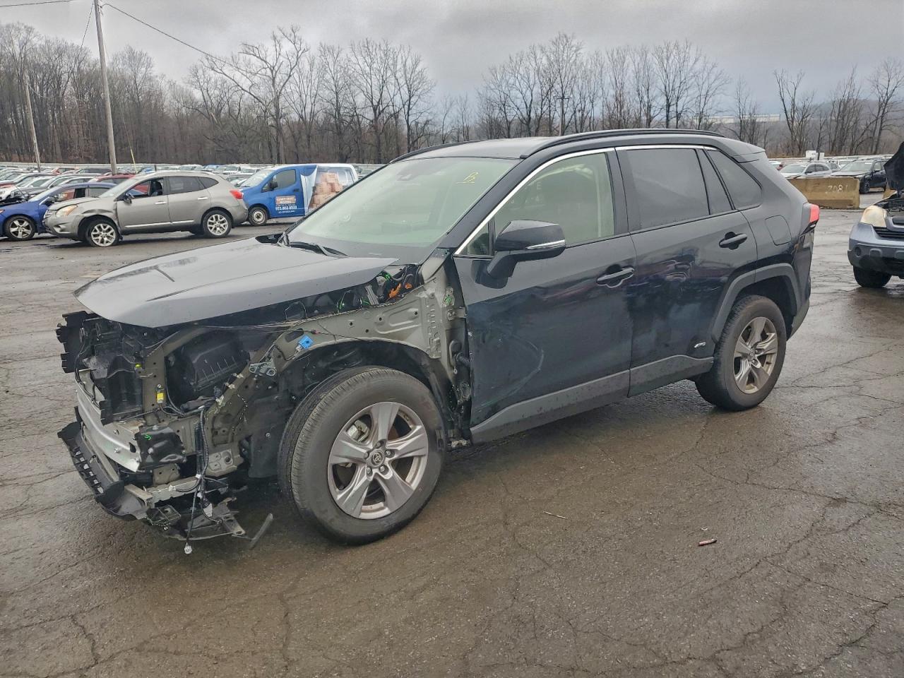 Lot #3318871029 2025 TOYOTA RAV4 XLE