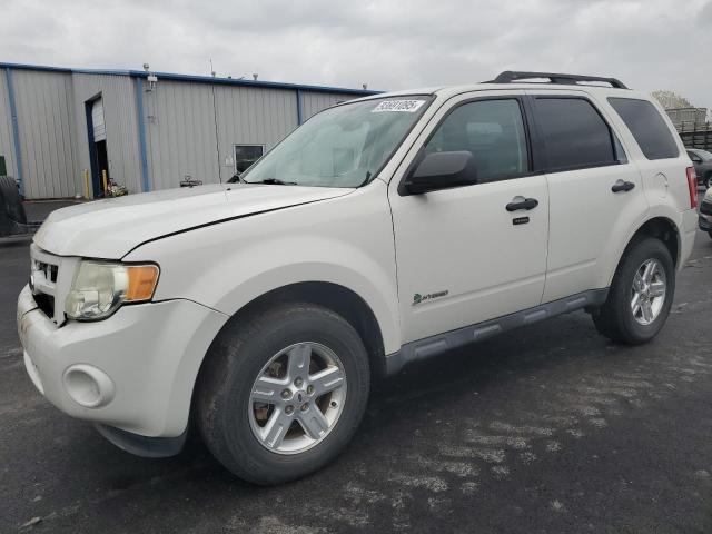 FORD ESCAPE HYB