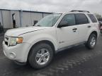 Lot #3296220432 2012 FORD ESCAPE HYB