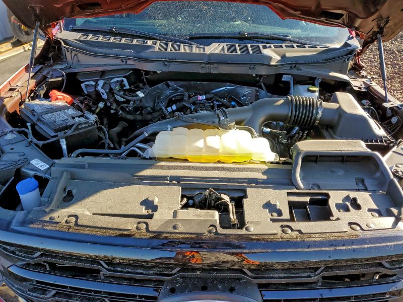 2025 FORD F150 XLT #3303639949