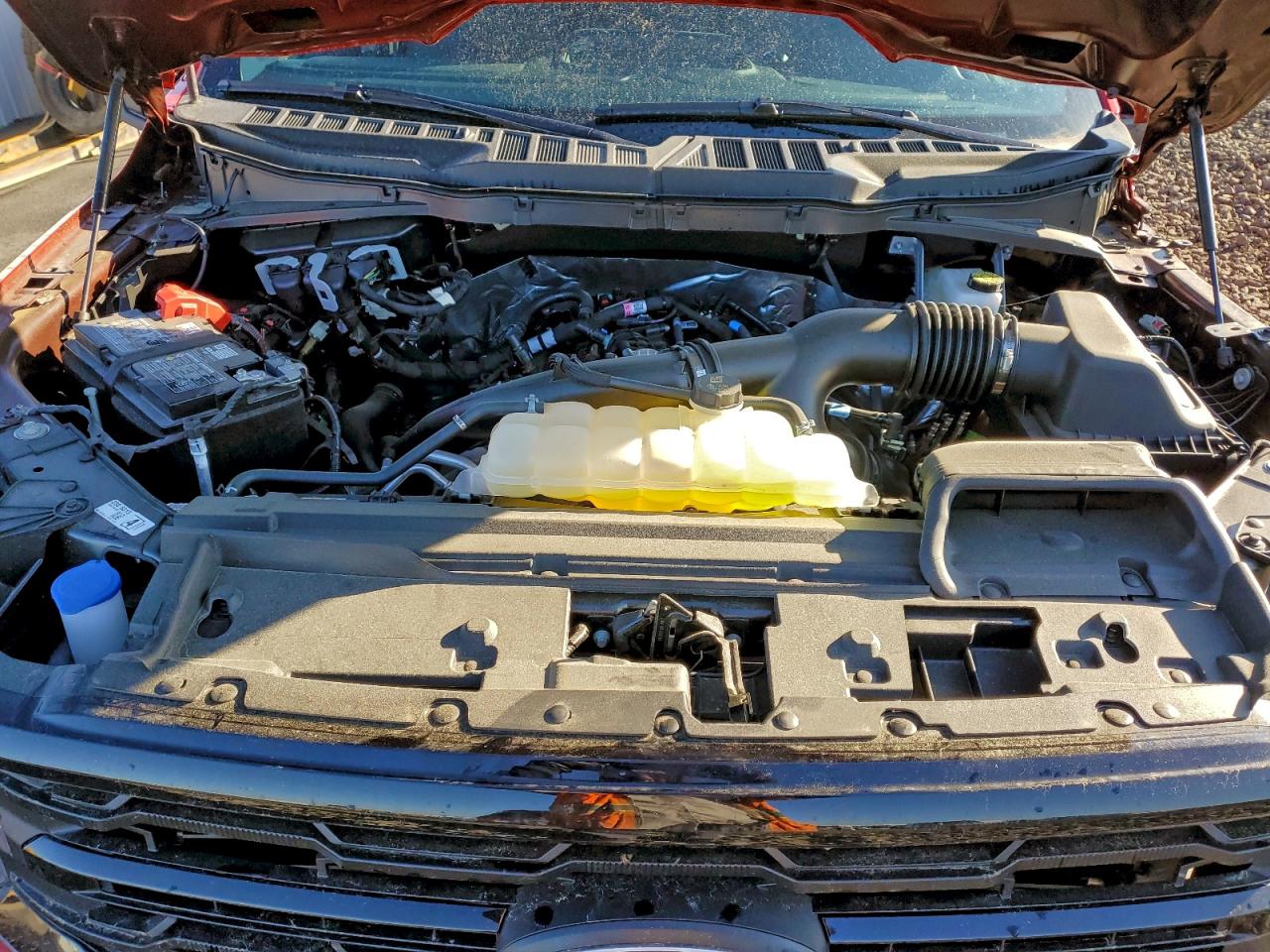 Lot #3303639949 2025 FORD F150 XLT