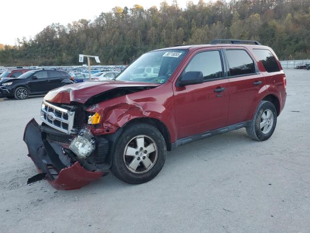 Global Auto Auctions: 2011 FORD ESCAPE XLT