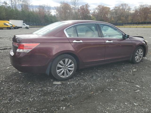 2011 HONDA ACCORD EXL #3294254880