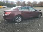 Lot #3294254880 2011 HONDA ACCORD EXL