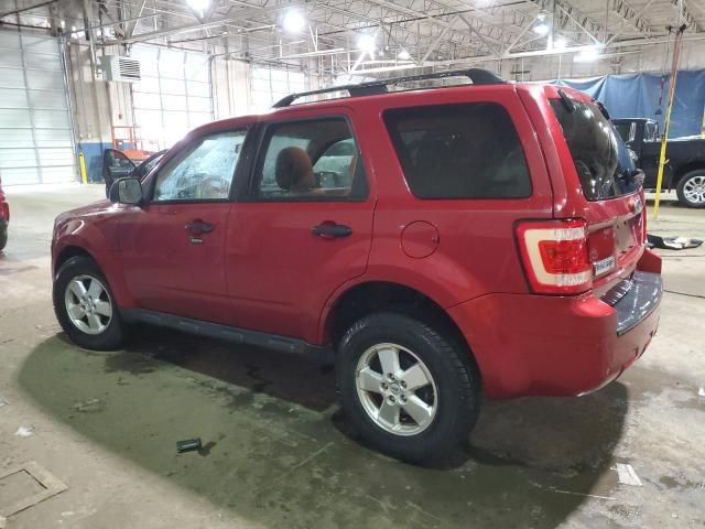 2010 FORD ESCAPE XLT #3285731669
