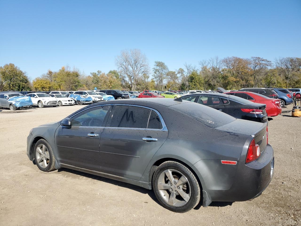 CHEVROLET MALIBU 1LT