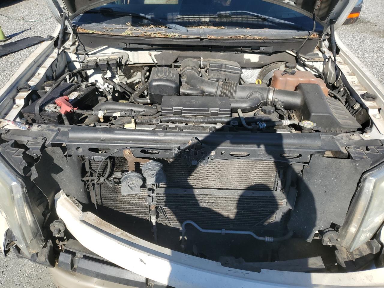 Lot #3282583920 2009 FORD F150 SUPER