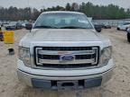 Lot #3296290413 2013 FORD F150