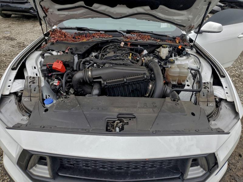 2024 FORD MUSTANG #3304075509
