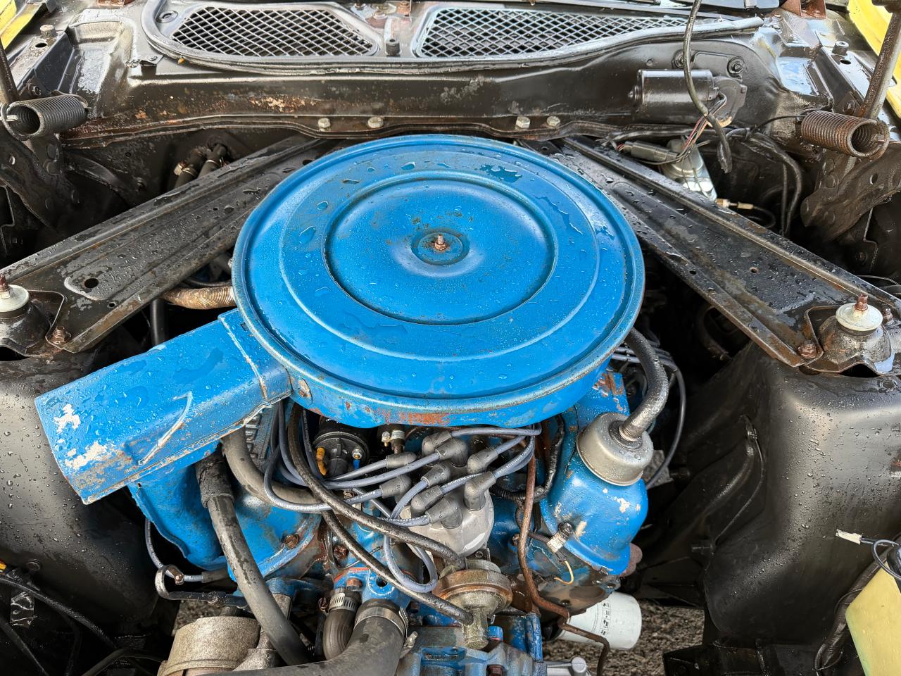 Lot #3292285274 1971 FORD MUSTANG