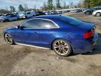 Lot #3309564577 2013 AUDI S5 PRESTIG