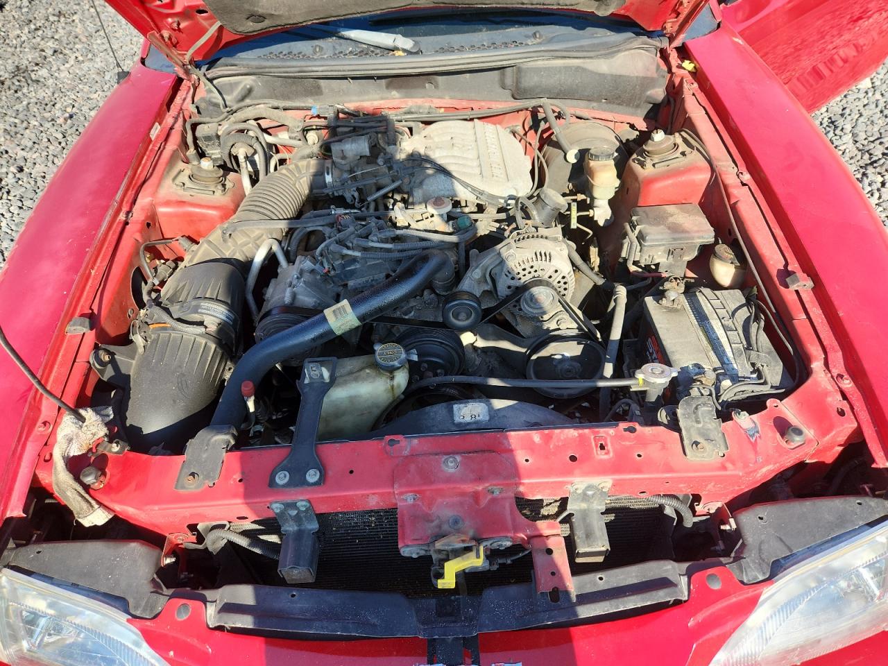 Lot #3296247409 1998 FORD MUSTANG