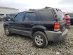 Lot #3296308455 2005 FORD ESCAPE XLT