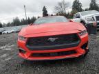 Lot #3305655729 2024 FORD MUSTANG