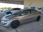Lot #3303968696 2014 HYUNDAI ELANTRA SE