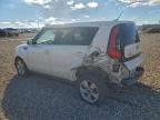 Lot #3303936714 2018 KIA SOUL