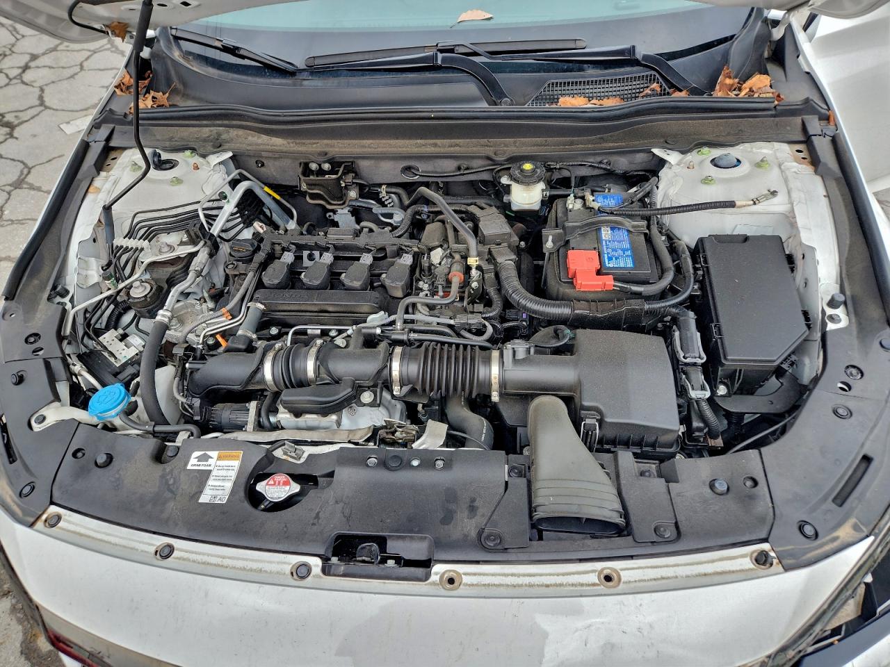 HONDA ACCORD SPORT SE