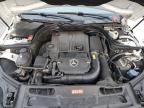 Lot #3304672941 2013 MERCEDES-BENZ C 250