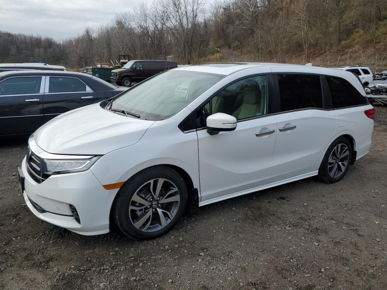 Lot #3292300291 2024 HONDA ODYSSEY TO