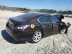 Lot #3310562074 2013 NISSAN MAXIMA S