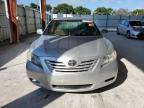Lot #3303968694 2009 TOYOTA CAMRY BASE