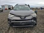 Lot #3310387999 2016 TOYOTA RAV4 XLE