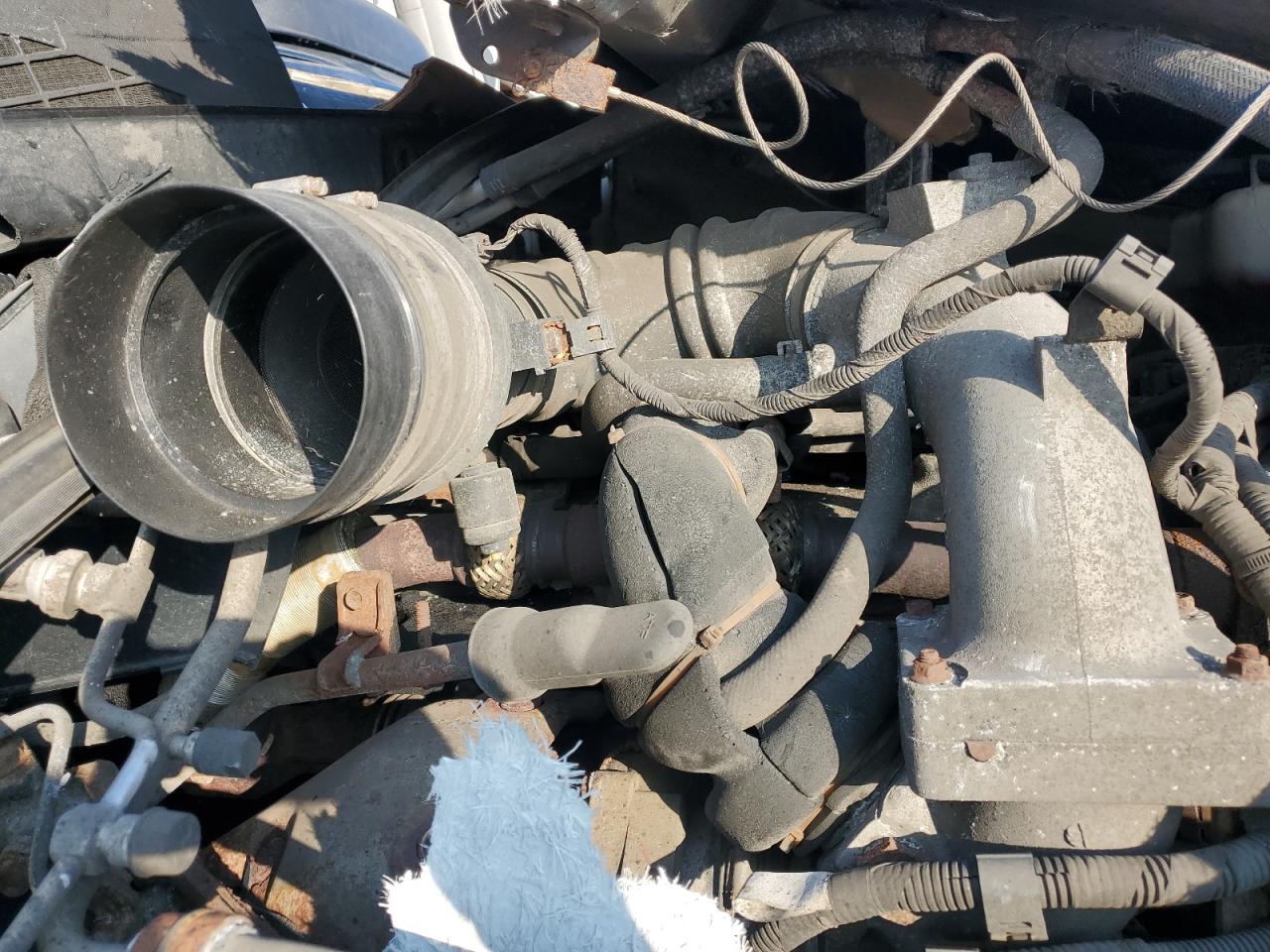 Lot #3316875113 2017 HINO 258