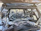 Lot #3315861162 2023 TOYOTA CAMRY SE N
