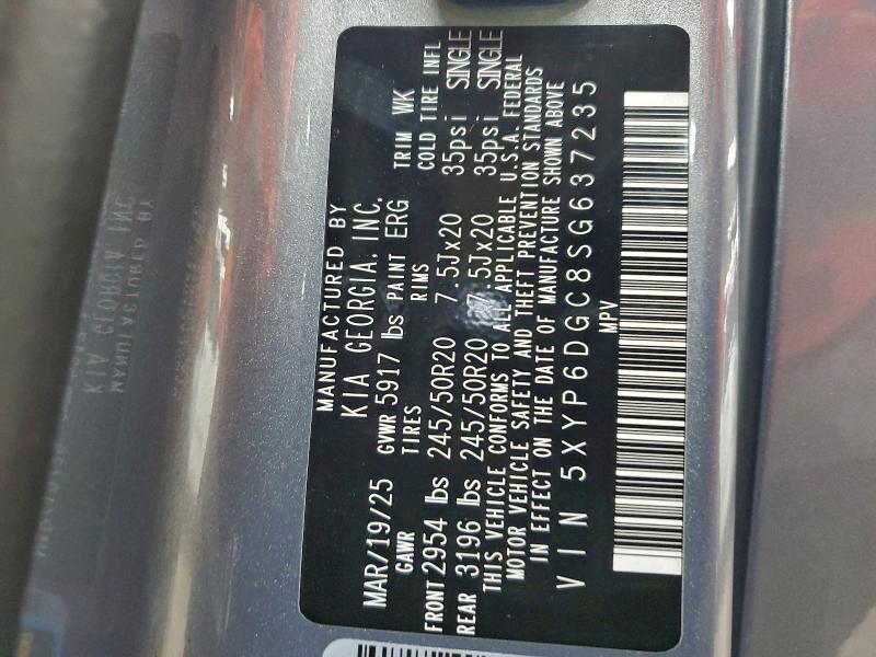 2025 KIA TELLURIDE #3304606454