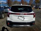 Lot #3310440336 2024 KIA SELTOS SX