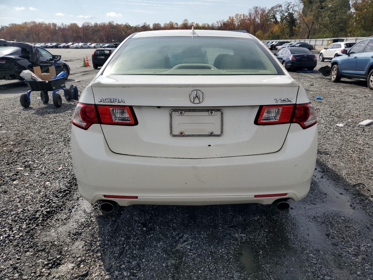 Lot #3285627274 2009 ACURA TSX