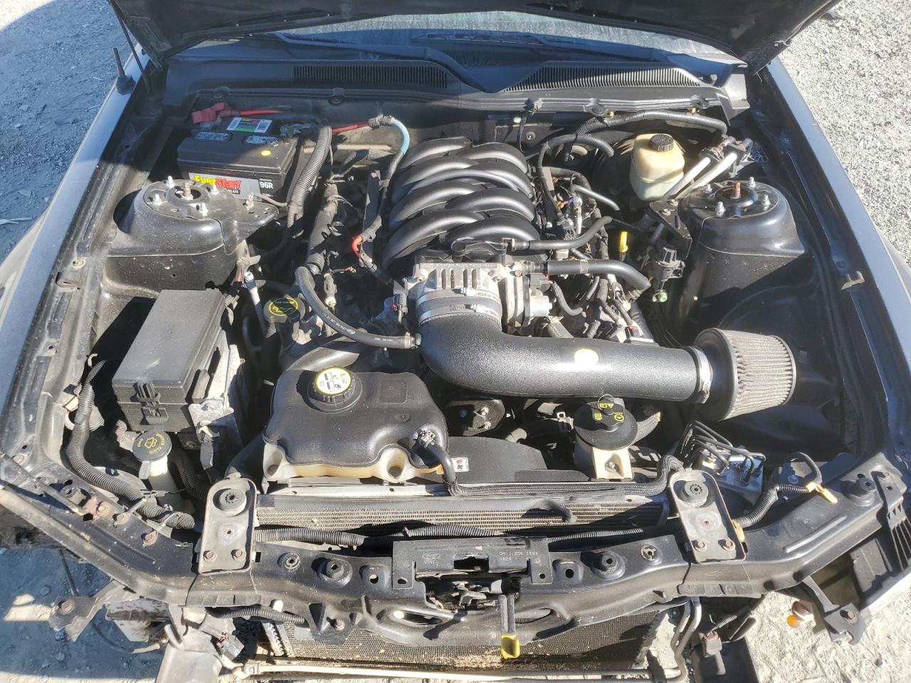 Lot #3284671355 2005 FORD MUSTANG GT