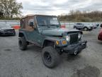 Lot #3308419301 1999 JEEP WRANGLER /