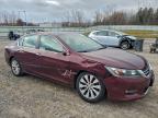 Lot #3302653082 2013 HONDA ACCORD EXL