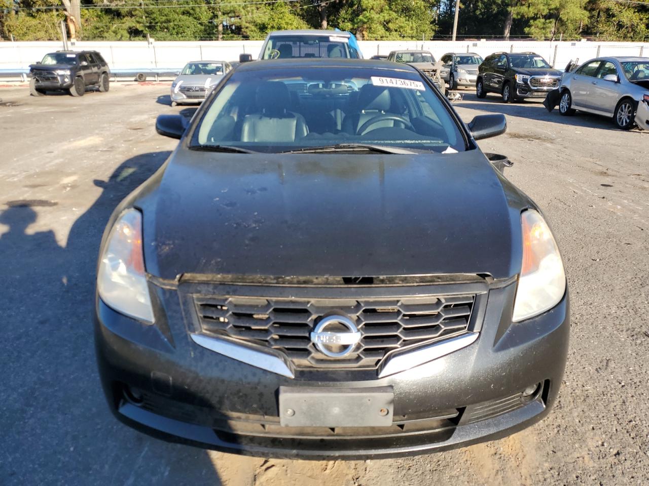 Global Auto Auctions