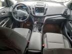 Lot #3298029158 2019 FORD ESCAPE SE