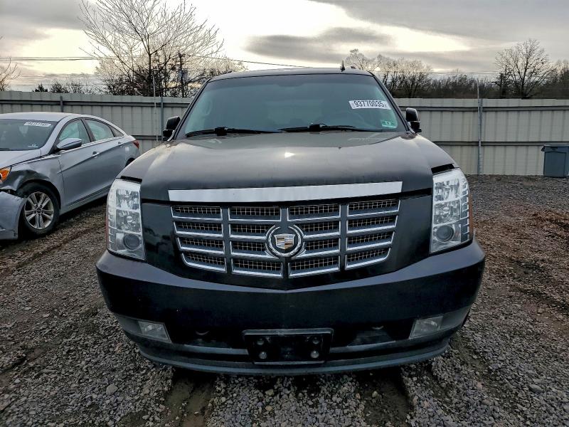 2010 CADILLAC ESCALADE E #3309244622