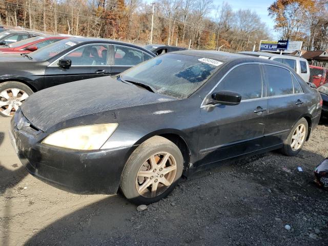 Global Auto Auctions: 2004 HONDA ACCORD EX