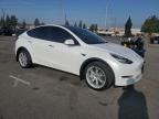 Lot #3308434277 2023 TESLA MODEL Y