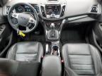 Lot #3305331331 2014 FORD ESCAPE TIT