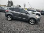Lot #3294349886 2013 FORD ESCAPE SE