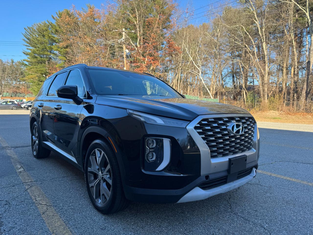 HYUNDAI PALISADE SEL