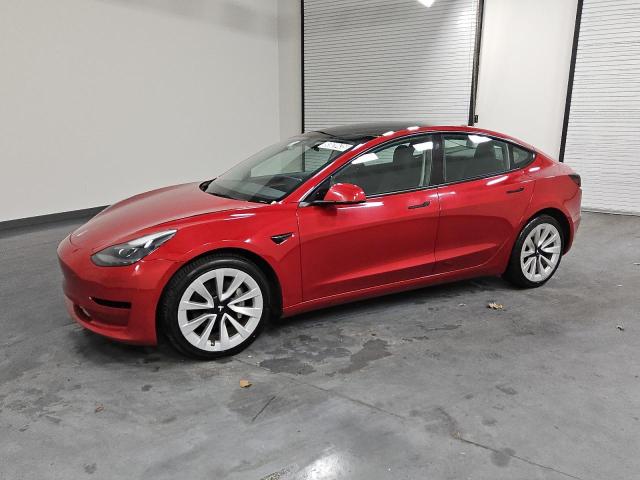 2023 TESLA MODEL 3 #3303696028