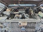 Lot #3313690099 1994 CHEVROLET GMT-400 K1