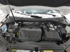 Lot #3304523493 2021 VOLKSWAGEN TIGUAN S