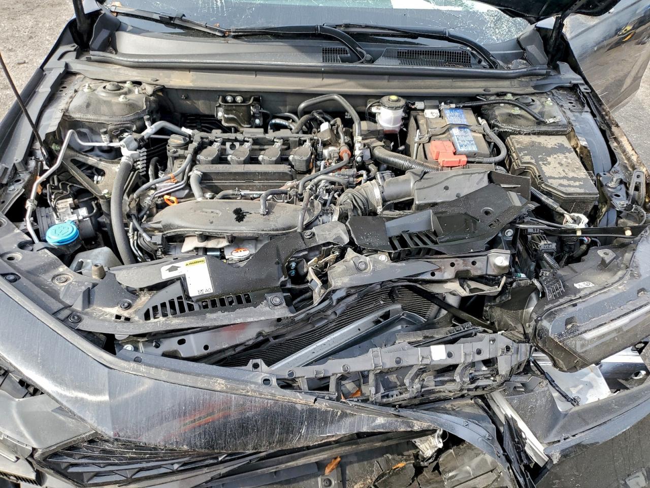 Lot #3317729090 2024 HONDA ACCORD LX