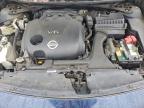 Lot #3297923796 2010 NISSAN MAXIMA S