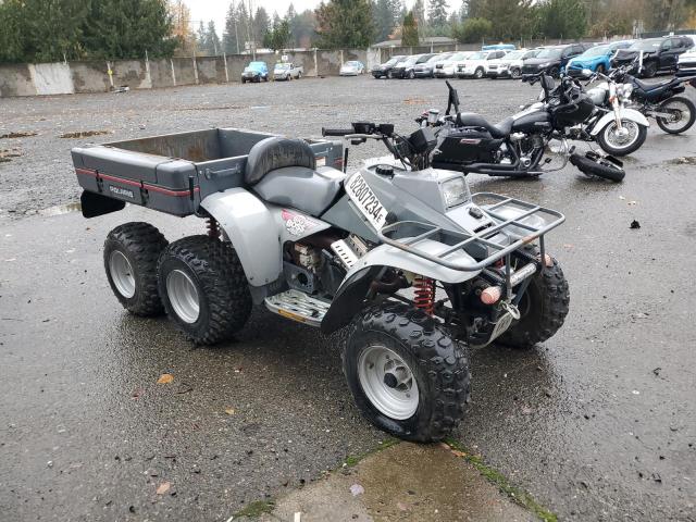 Global Auto Auctions: 1989  POLARIS 4 WHEELER